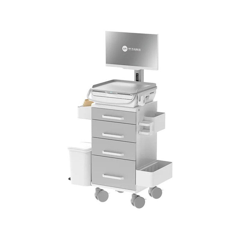 WMYH-W2-24 Medical Carts WMYH-W2-24 Medical Carts